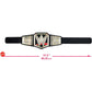 WWE MATTEL Championship Title Belt for 6 years and up