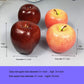 Artificial Fruit Fake Simulation Fruit for Home Kitchen Party Photography Prop Wedding Decoration (12Pcs Mix)