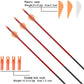 Archery 30Inch Carbon Arrow Practice Hunting Arrows with Removable Tips for Compound & Recurve Bow - My Store