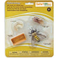 Safari Ltd. Life Cycle of a Honey Bee - Educational Toy Figurines - Miniature Bee Lifecycle Collection for Boys, Girls & Kids Age 4+