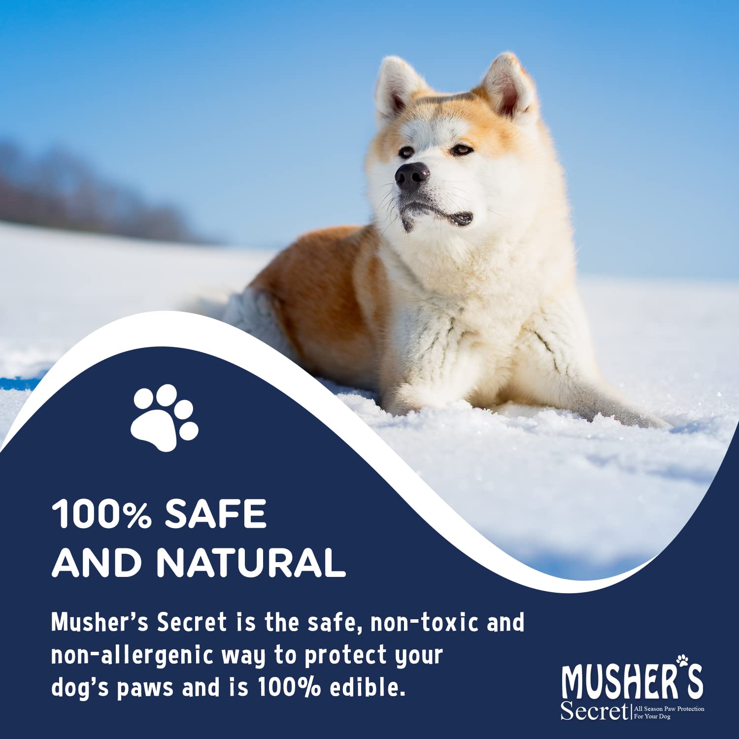 Buy now Musher’s Secret Dog Paw Wax 200g – Natural Paw Balm for Dogs with Vitamin E – Helps Protect Paws from Hot Pavement, Ice & Salt – Moisturizes Cracked Pads – Lick-Safe, Non-Toxic Dog Paw Protector at indiglob india
