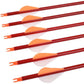 Archery 30Inch Carbon Arrow Practice Hunting Arrows with Removable Tips for Compound & Recurve Bow - My Store