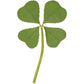 Buy now Genuine Real 4 Four-Leaf Clover Green Irish Shamrock St. Patric's Day Luucky Charm Pressed Flower Stuff for Favours Supplies DIY Crafts Handmade Art Materials Medium at indiglob india