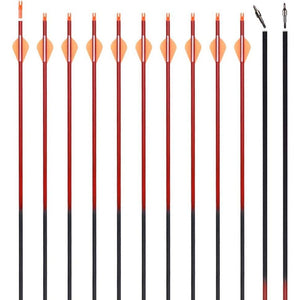 Archery 30Inch Carbon Arrow Practice Hunting Arrows with Removable Tips for Compound & Recurve Bow - My Store