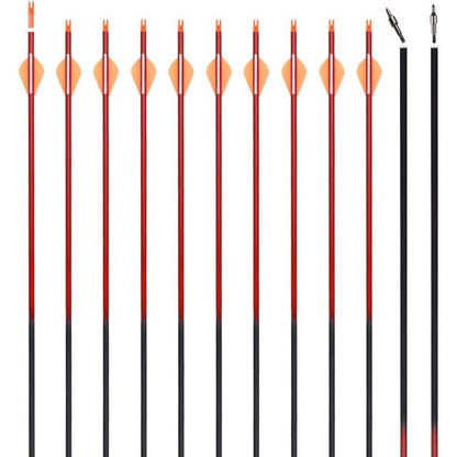 Archery 30Inch Carbon Arrow Practice Hunting Arrows with Removable Tips for Compound & Recurve Bow - My Store