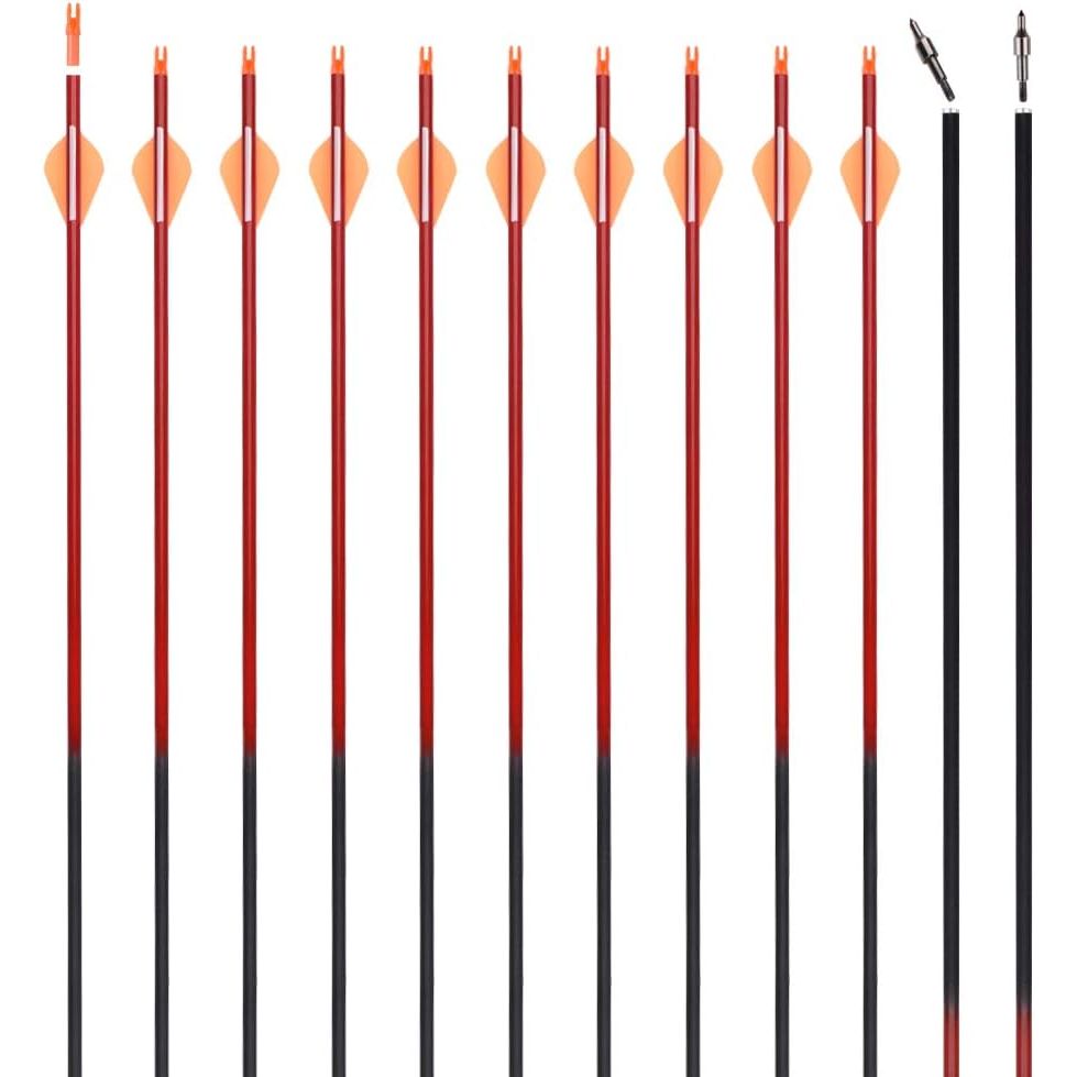 Archery 30Inch Carbon Arrow Practice Hunting Arrows with Removable Tips for Compound & Recurve Bow