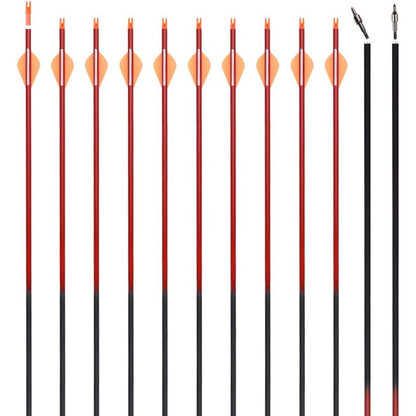 Archery 30Inch Carbon Arrow Practice Hunting Arrows with Removable Tips for Compound & Recurve Bow