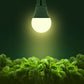 Buy now Grow Light Bulbs, Briignite LED Grow Light Bulb A19 Bulb, Full Spectrum Grow Light Bulb, Plant Light Bulbs E26 Base, 11W Grow Bulb 100W Equivalent, Grow Light for Indoor Plants, Seed Starting, 2Pack at indiglob india