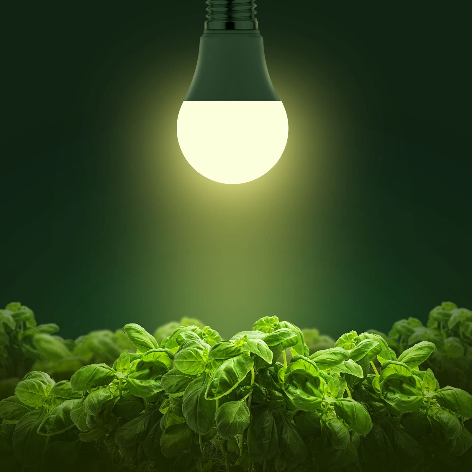 Buy now Grow Light Bulbs, Briignite LED Grow Light Bulb A19 Bulb, Full Spectrum Grow Light Bulb, Plant Light Bulbs E26 Base, 11W Grow Bulb 100W Equivalent, Grow Light for Indoor Plants, Seed Starting, 2Pack at indiglob india
