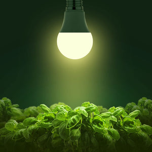 Buy now Grow Light Bulbs, Briignite LED Grow Light Bulb A19 Bulb, Full Spectrum Grow Light Bulb, Plant Light Bulbs E26 Base, 11W Grow Bulb 100W Equivalent, Grow Light for Indoor Plants, Seed Starting, 2Pack at indiglob india