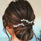 Easedaily Rhinstone Bride Wedding Hair Pins Silver Crystal Bridal Hair Pieces Hair Accessories for Women and Girls (pack of 2) (A-Silver)