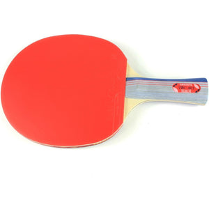 Butterfly 401 Table Tennis Racket Set - 1 Ping Pong Paddle – 1 Ping Pong Paddle Case - ITTF Approved Table Tennis Paddle - Ships in Ping Pong Racket Gift Box, Multi, B401FL
