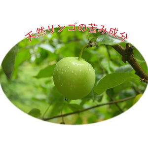 Grannick's Bitter Apple Taste Deterrent Spray Bottle for Dogs, 16 Ounces, Single