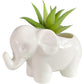 Cute Animal Elephant Shaped Ceramic Succulent Cactus Air Plant Flower Pots Planters-Plant Not Included (Pink&White)