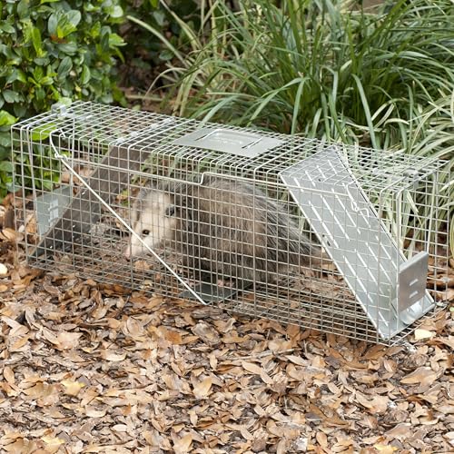 Buy now Havahart Large 2 Door Humane Catch and Release Live Animal Trap for Armadillos, Beavers, Bobcats, Small Dogs, Cats, Foxes, Groundhogs, Nutria, Opossums, Raccoons, Live Catch Trap for Stray Dogs 1045SR at indiglob india