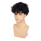 Kaneles Short Curly Mens Black Wig Fluffy Synthetic Cosplay Halloween Hair Wig for Male Guy