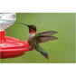 First Nature 3090 32-ounce Hummingbird Flower Feeder