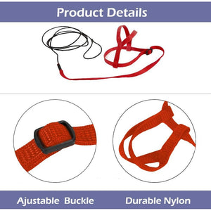 CIEOVO Bird Harness, Adjustable Parrot Nylon Leash with Anti-bite Design for Outdoor Activities Training, Suitable for Eastern Bluebonnet Parrot, Cockatoo, Parakeet, Doves 6.2ft (S)