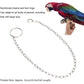 Rehomy Parrot Foot Chain, Stainless Steel Anti-bite Flying Training Anklet Ring Bird Harness for Parrots Macaw African Greys Parakeet Cockatoo Cockatiel Conure Lovebird