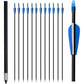 Archery Targeting Arrows 28inch Practice Arrows for Recurve Bow Fiberglass Training Arrows for Kids Youth and Teens (12Pcs/6Pcs)