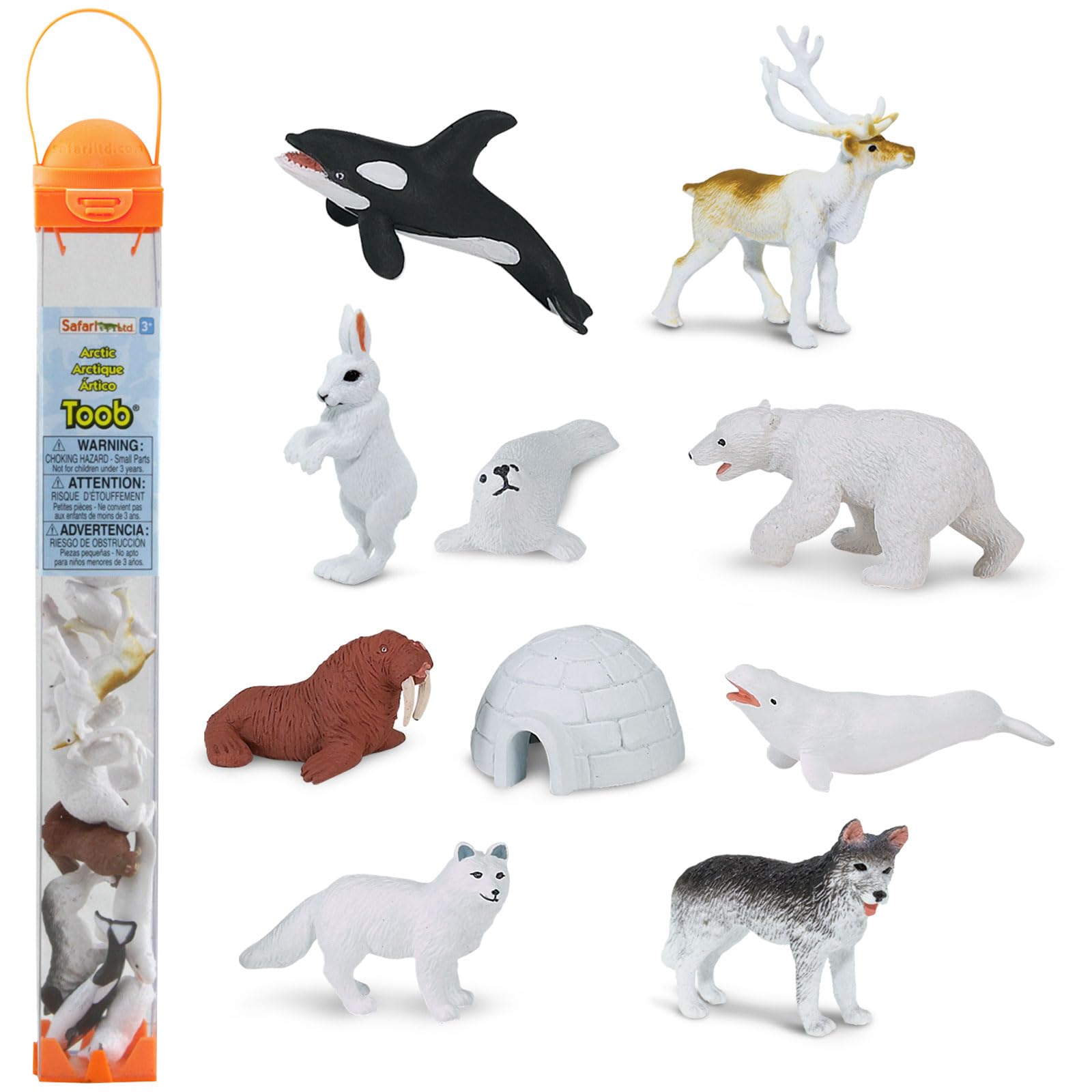 Buy now Safari Ltd Arctic TOOB With 10 Fun Figurines, Including A Harp Seal, Husky, Caribou, Arctic Rabbit, Killer Whale, Walrus, Arctic Fox, Beluga Whale, Igloo, And Polar Bear – For Ages 3 and Up at indiglob india
