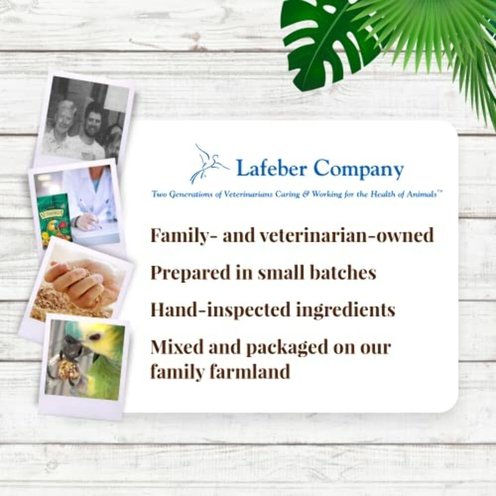 Buy now LAFEBER'S Tropical Fruit Nutri-Berries Pet Bird Food, Made with Non-GMO and Human-Grade Ingredients, for Parrots, 3 lb at indiglob india