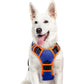Eagloo Dog Harness for Large Dogs, No Pull Service Vest with Reflective Strips and Control Handle, Adjustable and Comfortable for Walking, No Choke Pet Harness with 2 Metal Rings, Orange, L