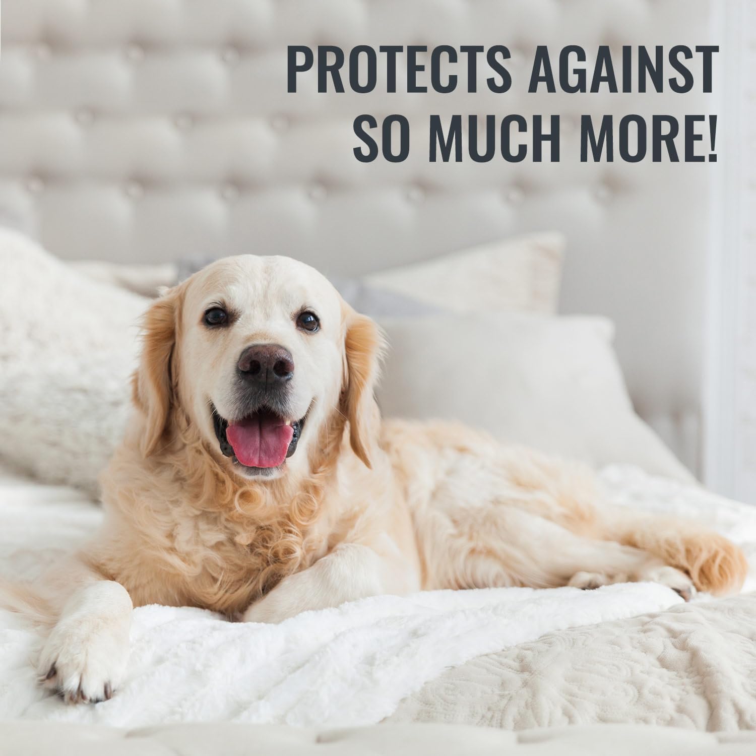 Buy now DMI Waterproof Mattress Protector and Mattress Cover, Soft, Encased Zippered Fit, Twin, Packaging may vary at indiglob india
