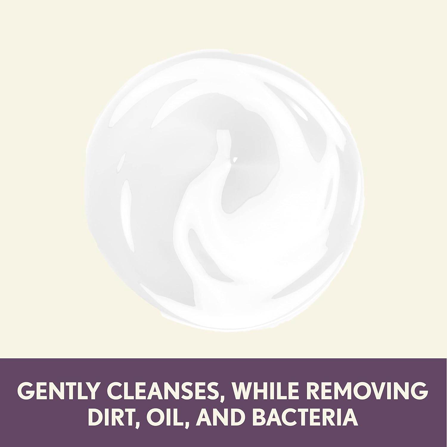 Aveeno Absolutely Ageless Nourishing Daily Facial Cleanser, Antioxidant-Rich Blackberry Extract, Non-Comedogenic Makeup-Removing Face Wash from Dermatologist-Recommended Brand, 5.2 fl. oz - My Store