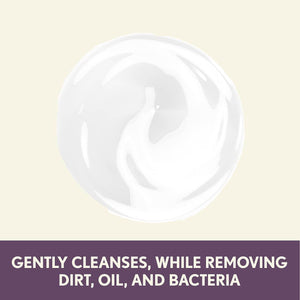 Aveeno Absolutely Ageless Nourishing Daily Facial Cleanser, Antioxidant-Rich Blackberry Extract, Non-Comedogenic Makeup-Removing Face Wash from Dermatologist-Recommended Brand, 5.2 fl. oz - My Store