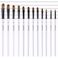 Filbert Paint Brushes Set, 12 PCS Artist Brush for Acrylic Oil Watercolor Gouache Artist Professional Painting Kits with Synthetic Nylon Tips