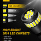 Buy now AUXITO 194 LED Light Bulb 6000K White 168 2825 W5W T10 Wedge 24-SMD 3014 Chipsets LED Replacement Light Kit Error Free for Car Interior Dome Map Door License Marker Lights, Pack of 10 at indiglob india