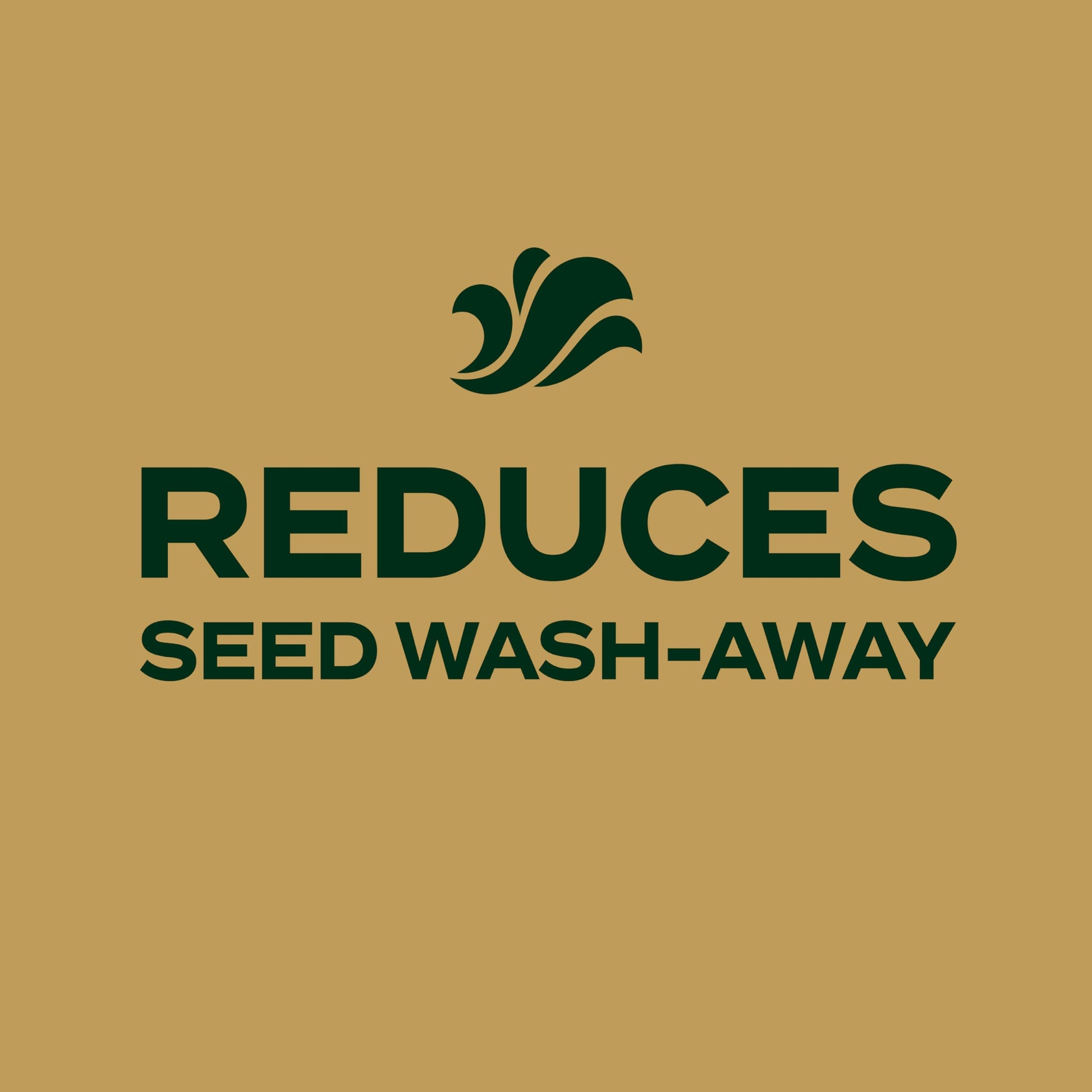 Buy now Scotts EZ Seed Patch and Repair Zoysia Grass, Combination Mulch, Grass Seed and Lawn Fertilizer, 3.75 lbs. at indiglob india