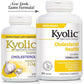 Kyolic Aged Garlic Extract Formula 104, Cholesterol Health