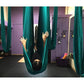 F.Life Aerial Silk Yoga Hammock & Swing for yoga Inversion,Strength training,starter hardware kit