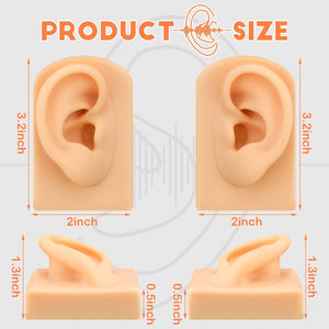 2 Pcs Silicone Ear Model Left and Right Soft Flexible Model Fake Ear Piercing Practice Silicone Body Parts Realistic for Jewelry Display Acupuncture Mannequin Teaching Instruction