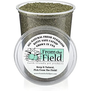 from The Field | Fine Ground Stalkless Catnip | Premium USA-Grown Catnip for Toys & Playtime | Fresh, Potent, Non-Toxic, Eco-Friendly | Safe for Kittens & Cats | Resealable 6 oz Tub