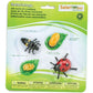 Safari Ltd. Life Cycle of a Honey Bee - Educational Toy Figurines - Miniature Bee Lifecycle Collection for Boys, Girls & Kids Age 4+