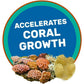 Buy now Hikari Coralific Delite Coral Food, 1.23 oz (35g) at indiglob india