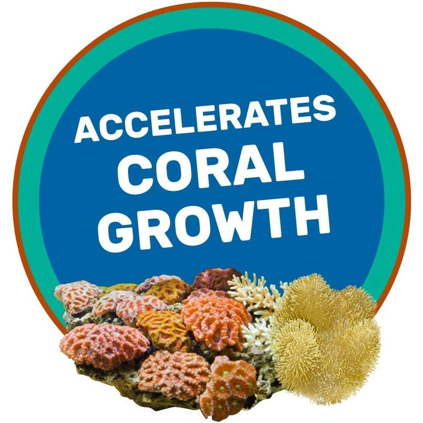 Buy now Hikari Coralific Delite Coral Food, 1.23 oz (35g) at indiglob india