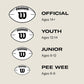 Wilson NFL Recreational Footballs