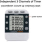 Digital Dual Kitchen Timer for Cooking, 3 Channels Count Down/up Triple Multi Timers for Food, Magnetic Memory-Preset Large-Display Adjustable Alarm Volume, 3A Battery Included