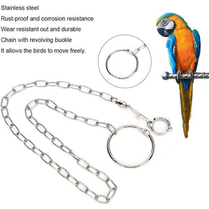 Rehomy Parrot Foot Chain, Stainless Steel Anti-bite Flying Training Anklet Ring Bird Harness for Parrots Macaw African Greys Parakeet Cockatoo Cockatiel Conure Lovebird