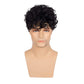 Kaneles Short Curly Mens Black Wig Fluffy Synthetic Cosplay Halloween Hair Wig for Male Guy