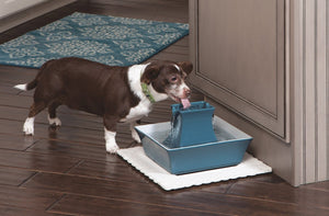 Buy now PetSafe Drinkwell Pagoda Fountain - Hygienic Ceramic Continuous Flowing Fountain - Elevated Upper Bowl & Double Free-Falling Stream Design - Minimalist Pet Hydration Station - 70 oz Capacity at indiglob india