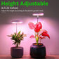 Grow Lights for Indoor Plants, ROMSTO LED Full Spectrum Plant Light for Indoor Plants, Height Adjustable Grow Light with 10 Dimmable Brightness, 8/12/16H On/Off Timer, Ideal for Small Plants,1 Pack