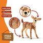 Schleich Wild Life Realistic White-Tailed Fawn Figurine - Authentic and Highly Detailed Wild Animal Toy, Durable for Education and Fun Play for Kids, Perfect for Boys and Girls, Ages 3+
