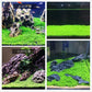 Aquarium Plant S.e,e,ds. not Fish Tank Aritificial Plastic Plant,10gram Mini-Leaf+8grame Long Hair Grass Fresh Water Carpet Decor