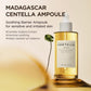 SKIN1004 Madagascar Centella Asiatica Ampoule Facial Serum 3.38 fl.oz(100ml)