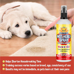 Bodhi Dog Not Here Spray - Trains Your Pet Where Not to Pee Indoors or Outdoors - Anti Marking Deterrent for Furniture, Carpet and Floor - Training Corrector for Puppies & Dogs - Made in USA (8 Fl Oz)